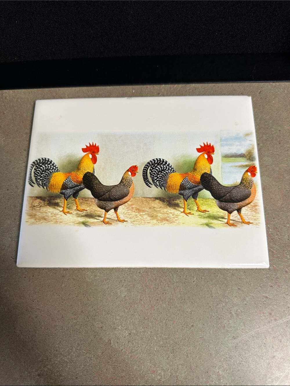 Decorative Tile Trivet with Leghorn Rooster and Hen Illustration
